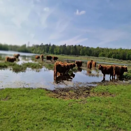 Hébergement de vacances Dune Family Retreat *